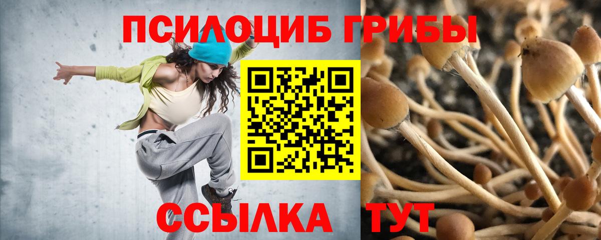 Галлюциногенные грибы MAGIC MUSHROOMS Севастополь
